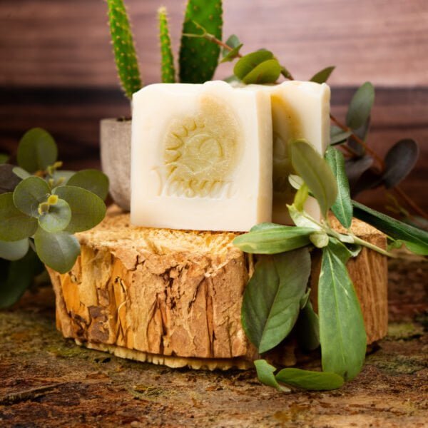 Aloe Vera Sabunu Aloe Vera Soap صابون الصبَّار